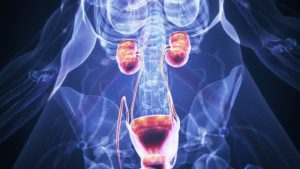 راهنمایی کامل در مورد پروستات و نحوه درمان آن چیست ؟